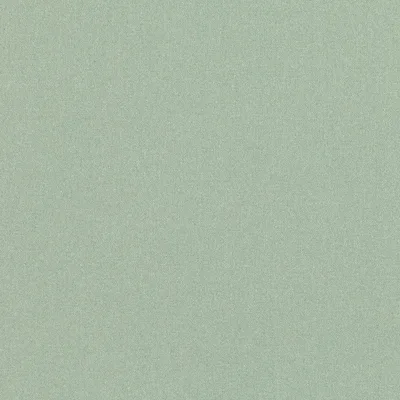 OSUMI SAGE thumbnail 2