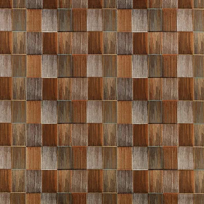 SEKANI CINNAMON thumbnail 3