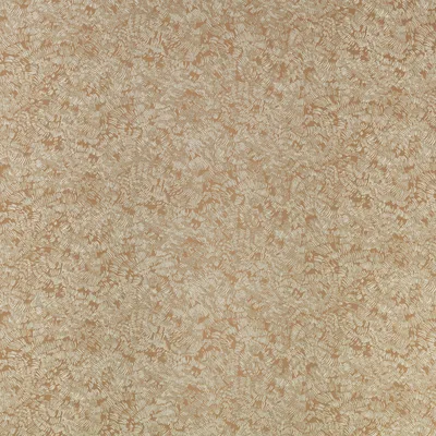 SHIRI COPPER thumbnail 4