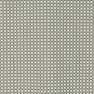 OPIE TURTLE DOVE swatch