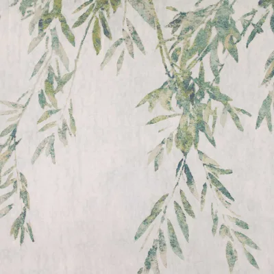 AULA HUMMINGBIRD thumbnail 3