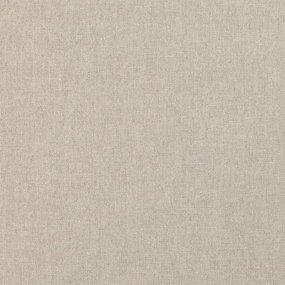 RUSKIN ELK — Ruskin swatch, view 1