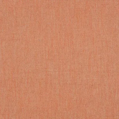 RUSKIN PAPAYA — Ruskin swatch, view 1