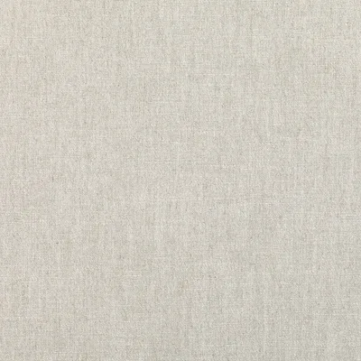 RUSKIN PLATINUM swatch