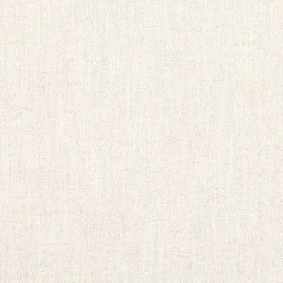 RUSKIN SILVER BIRCH swatch