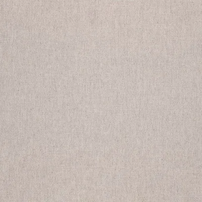 RUSKIN SILVER swatch