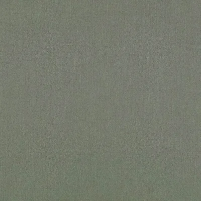 RUSKIN SPINACH thumbnail 2