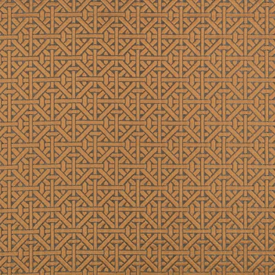 DITA SPICED CIDER — Temperley London x Romo Fabrics swatch, view 1