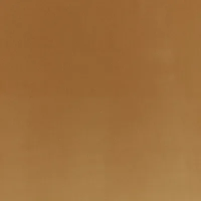 FRIEDA TAN thumbnail 2