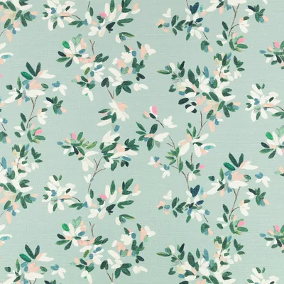 ELSI AGATE thumbnail 2