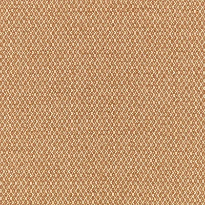 QUITO GINGER thumbnail 3