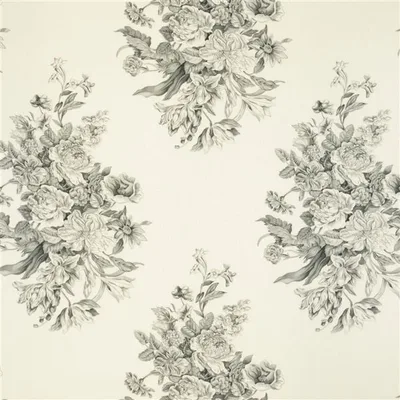 CAMPANULA - COCOA thumbnail 3