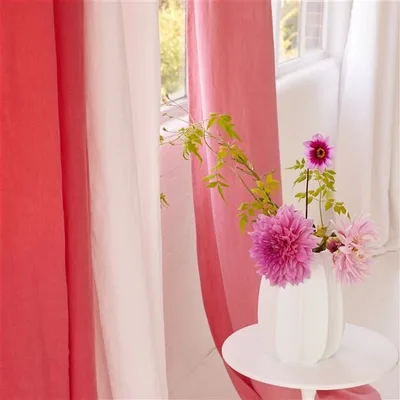 BRERA LINO AZALEA thumbnail 3