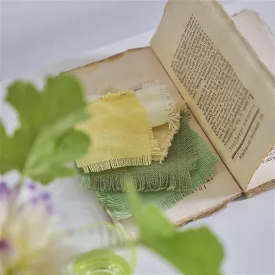 BRERA LINO OLIVE thumbnail 3