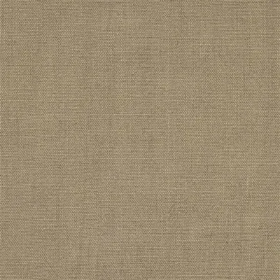 BRERA LINO - ROEBUCK thumbnail 2