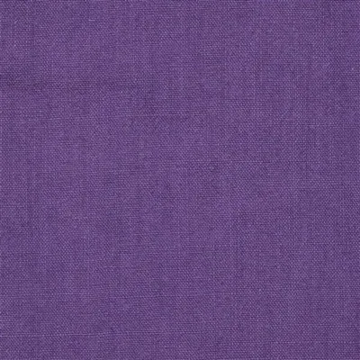 BRERA LINO - ROEBUCK thumbnail 5