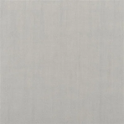 BRERA LINO SILVER BIRCH — Heritage Prints swatch, view 1