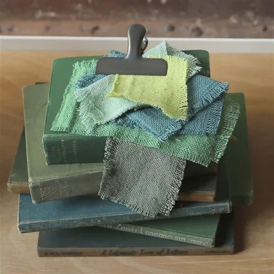 BRERA MODA LIME thumbnail 3