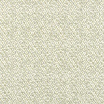 ST JOHN STREET TRELLIS WILLOW swatch