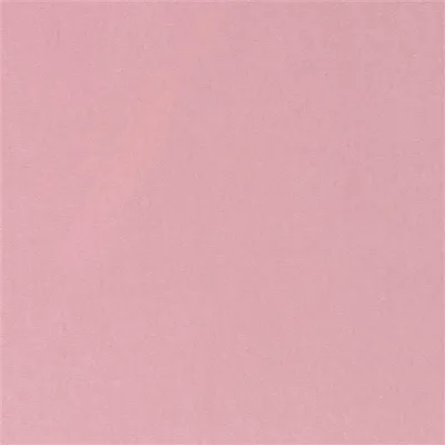 VARESE - BLOSSOM thumbnail 2