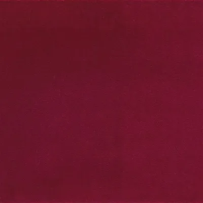 VARESE - CHRYSANTHEMUM thumbnail 2