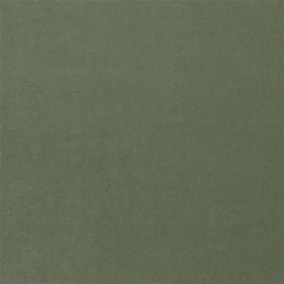 VARESE - SAGE — Heritage Prints swatch, view 1