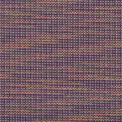 VARESE - VIOLET thumbnail 4