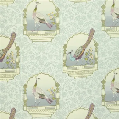 PEACOCK FLOWER - HEATHER thumbnail 2