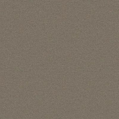 ADARA LLAMA thumbnail 3