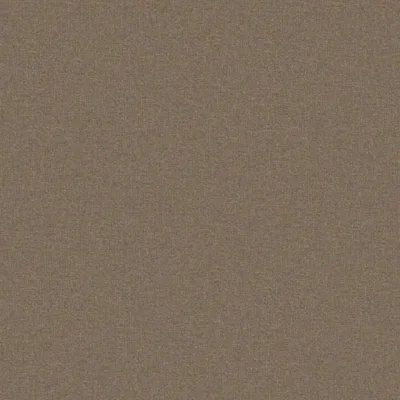 ADARA SAFARI thumbnail 3