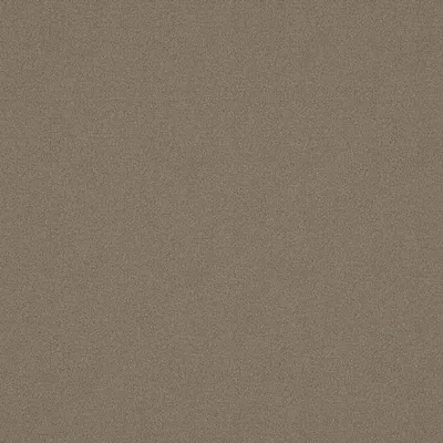 ALPAKA COYOTE thumbnail 3