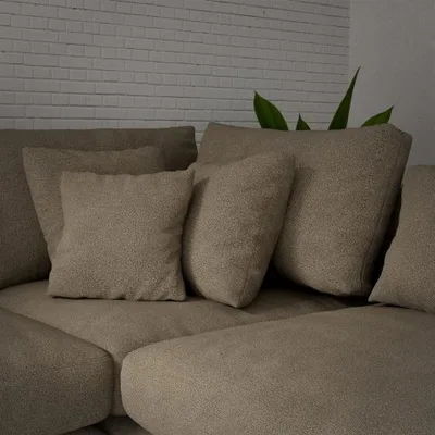 ALPAKA COYOTE thumbnail 5