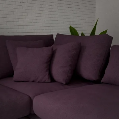 ALPAKA EMPEROR thumbnail 5