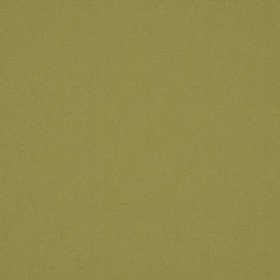 ALPAKA KIWI thumbnail 3