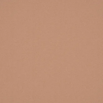 ALPAKA SALMON thumbnail 3