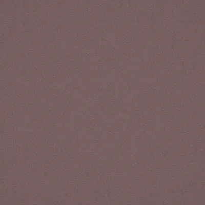 ALPAKA THISTLE thumbnail 5