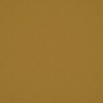 ALPAKA TURMERIC thumbnail 3