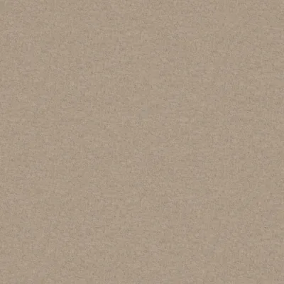 AMATHEON BIRCH thumbnail 3