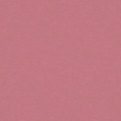 AMATHEON CANDY thumbnail 3