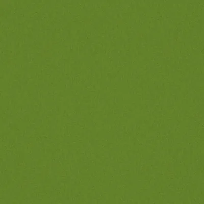 AMATHEON LIME thumbnail 3