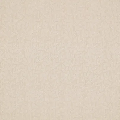 Cayan Ivory thumbnail 3