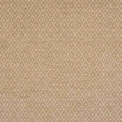 VALOIS CHAMPAGNE — ARCHIVE WEAVES swatch, view 1