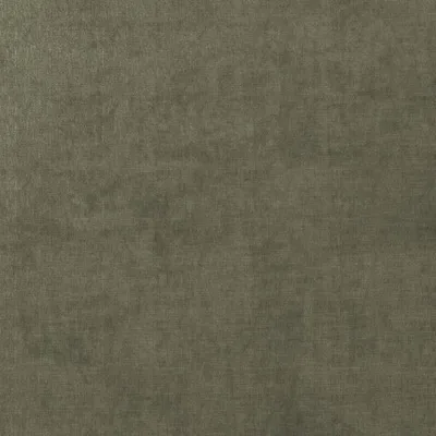 BIARRITZ LICHEN thumbnail 3