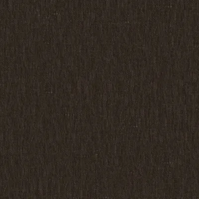 BLANIK COYOTE thumbnail 3