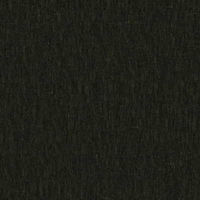 BLANIK FERN thumbnail 3