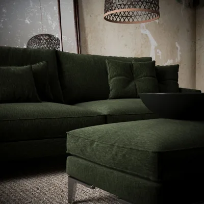 BLANIK FERN thumbnail 4