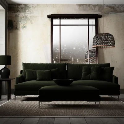 BLANIK FERN thumbnail 5