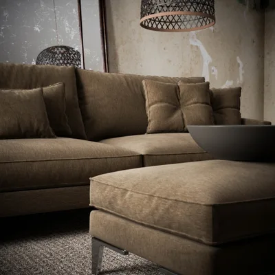 BLANIK LICHEN thumbnail 4