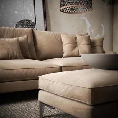 BLANIK LLAMA thumbnail 4