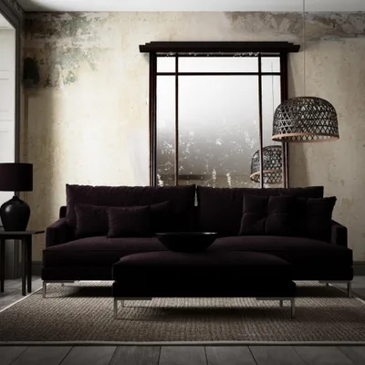 BLANIK RAISIN thumbnail 5